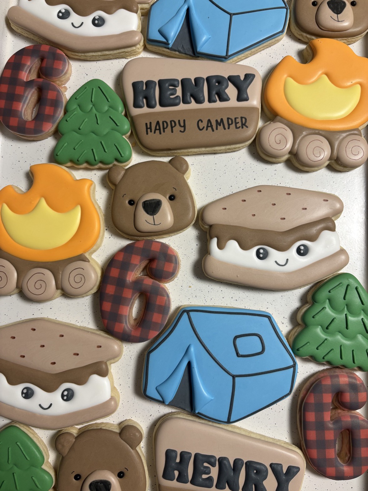 A tray of hand-decorated camping cookies: smiling s'mores, blue tents, bear faces, campfires, pine trees and a buffalo-plaid number six.